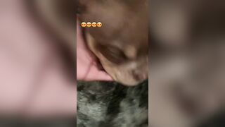 [507 of 2462 Vids] Edwinacarlaisaac (Edwina) OnlyFans Leaks Nude Ebony