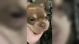 [507 of 2462 Vids] Edwinacarlaisaac (Edwina) OnlyFans Leaks Nude Ebony