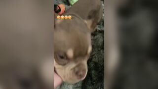 [507 of 2462 Vids] Edwinacarlaisaac (Edwina) OnlyFans Leaks Nude Ebony