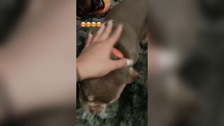 [507 of 2462 Vids] Edwinacarlaisaac (Edwina) OnlyFans Leaks Nude Ebony