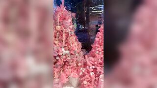 [531 of 2462 Vids] Edwinacarlaisaac (Edwina) OnlyFans Leaks Nude Ebony