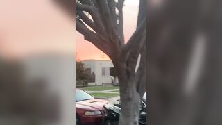 [532 of 2462 Vids] Edwinacarlaisaac (Edwina) OnlyFans Leaks Nude Ebony