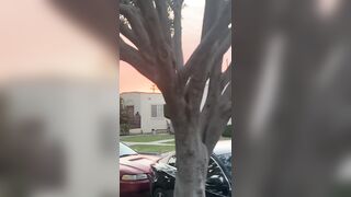 [532 of 2462 Vids] Edwinacarlaisaac (Edwina) OnlyFans Leaks Nude Ebony