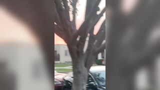 [532 of 2462 Vids] Edwinacarlaisaac (Edwina) OnlyFans Leaks Nude Ebony