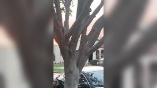 [532 of 2462 Vids] Edwinacarlaisaac (Edwina) OnlyFans Leaks Nude Ebony