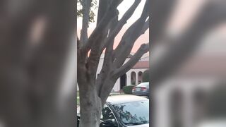 [532 of 2462 Vids] Edwinacarlaisaac (Edwina) OnlyFans Leaks Nude Ebony