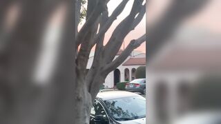 [532 of 2462 Vids] Edwinacarlaisaac (Edwina) OnlyFans Leaks Nude Ebony