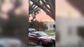 [532 of 2462 Vids] Edwinacarlaisaac (Edwina) OnlyFans Leaks Nude Ebony