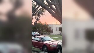 [532 of 2462 Vids] Edwinacarlaisaac (Edwina) OnlyFans Leaks Nude Ebony