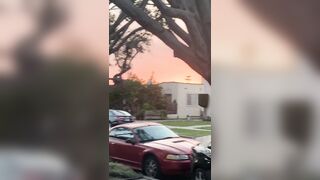 [532 of 2462 Vids] Edwinacarlaisaac (Edwina) OnlyFans Leaks Nude Ebony