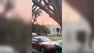 [532 of 2462 Vids] Edwinacarlaisaac (Edwina) OnlyFans Leaks Nude Ebony