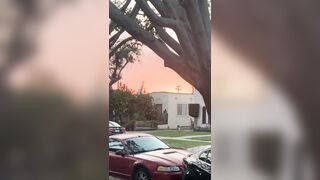 [532 of 2462 Vids] Edwinacarlaisaac (Edwina) OnlyFans Leaks Nude Ebony