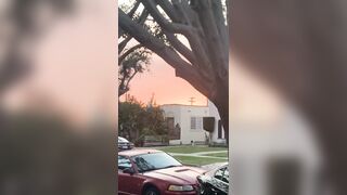 [532 of 2462 Vids] Edwinacarlaisaac (Edwina) OnlyFans Leaks Nude Ebony