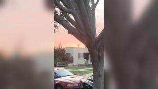 [532 of 2462 Vids] Edwinacarlaisaac (Edwina) OnlyFans Leaks Nude Ebony