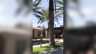 [61 of 2462 Vids] Edwinacarlaisaac (Edwina) OnlyFans Leaks Nude Ebony