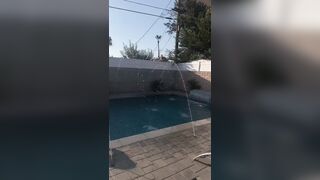 [624 of 2462 Vids] Edwinacarlaisaac (Edwina) OnlyFans Leaks Nude Ebony