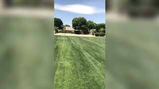 [63 of 2462 Vids] Edwinacarlaisaac (Edwina) OnlyFans Leaks Nude Ebony