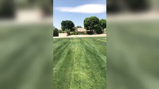 [63 of 2462 Vids] Edwinacarlaisaac (Edwina) OnlyFans Leaks Nude Ebony