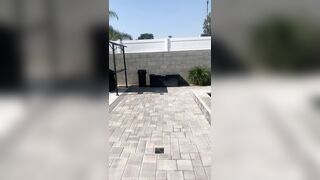 [630 of 2462 Vids] Edwinacarlaisaac (Edwina) OnlyFans Leaks Nude Ebony