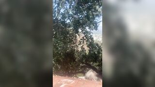 [680 of 2462 Vids] Edwinacarlaisaac (Edwina) OnlyFans Leaks Nude Ebony