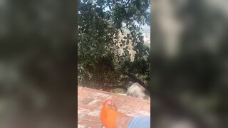 [680 of 2462 Vids] Edwinacarlaisaac (Edwina) OnlyFans Leaks Nude Ebony