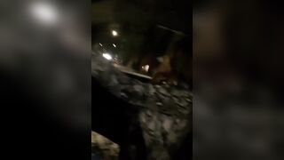 [683 of 2462 Vids] Edwinacarlaisaac (Edwina) OnlyFans Leaks Nude Ebony