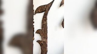 [793 of 2462 Vids] Edwinacarlaisaac (Edwina) OnlyFans Leaks Nude Ebony