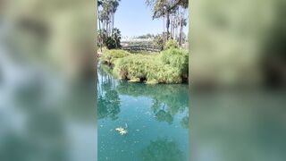 [827 of 2462 Vids] Edwinacarlaisaac (Edwina) OnlyFans Leaks Nude Ebony