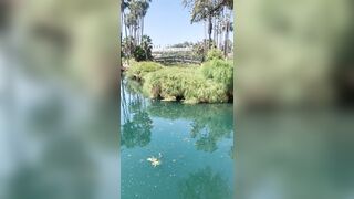 [827 of 2462 Vids] Edwinacarlaisaac (Edwina) OnlyFans Leaks Nude Ebony