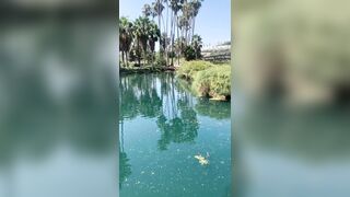 [827 of 2462 Vids] Edwinacarlaisaac (Edwina) OnlyFans Leaks Nude Ebony