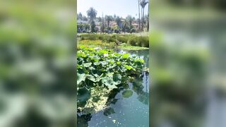 [827 of 2462 Vids] Edwinacarlaisaac (Edwina) OnlyFans Leaks Nude Ebony