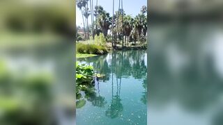 [827 of 2462 Vids] Edwinacarlaisaac (Edwina) OnlyFans Leaks Nude Ebony