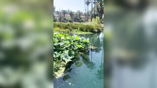 [827 of 2462 Vids] Edwinacarlaisaac (Edwina) OnlyFans Leaks Nude Ebony