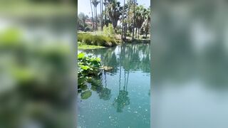 [827 of 2462 Vids] Edwinacarlaisaac (Edwina) OnlyFans Leaks Nude Ebony