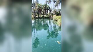 [827 of 2462 Vids] Edwinacarlaisaac (Edwina) OnlyFans Leaks Nude Ebony