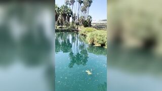 [827 of 2462 Vids] Edwinacarlaisaac (Edwina) OnlyFans Leaks Nude Ebony