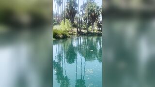 [828 of 2462 Vids] Edwinacarlaisaac (Edwina) OnlyFans Leaks Nude Ebony