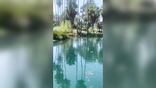 [828 of 2462 Vids] Edwinacarlaisaac (Edwina) OnlyFans Leaks Nude Ebony