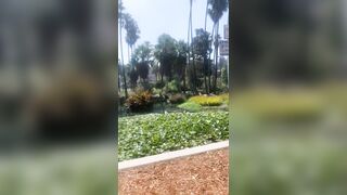 [829 of 2462 Vids] Edwinacarlaisaac (Edwina) OnlyFans Leaks Nude Ebony