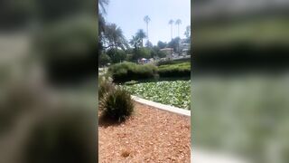 [829 of 2462 Vids] Edwinacarlaisaac (Edwina) OnlyFans Leaks Nude Ebony