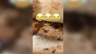 [891 of 2462 Vids] Edwinacarlaisaac (Edwina) OnlyFans Leaks Nude Ebony