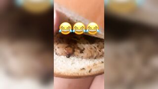 [891 of 2462 Vids] Edwinacarlaisaac (Edwina) OnlyFans Leaks Nude Ebony