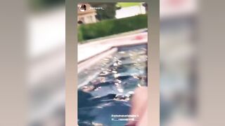 [959 of 2462 Vids] Edwinacarlaisaac (Edwina) OnlyFans Leaks Nude Ebony