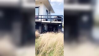 [97 of 260 Vids] Purple Bitch (itstatypurple aka lure_lady) OnlyFans Leaked Nude