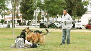 Squirting In Public Goes Wrong Episode 29 - feat. Marley Brinx - Vitalythegoat (Vitaly) OnlyFans