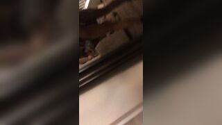 Briabackwoods Leaks -  Cuckold Fantasy with Tawny Babe