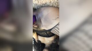 Briabackwoods Leaks -  Throatpie Delight with Petite Dark-skinned Vixen