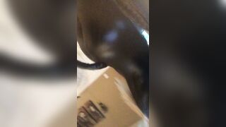 Aubreejmartin Leaks - Public Exhibitionism and Masturbation on the Beach