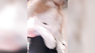 Anri_okita OnlyFans -  Cumming on Sexy Black Pantyhose and Feet