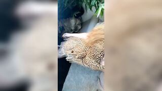 Maditown Leaks -  ASMR Foot Fetish Session With A Seductive Babe